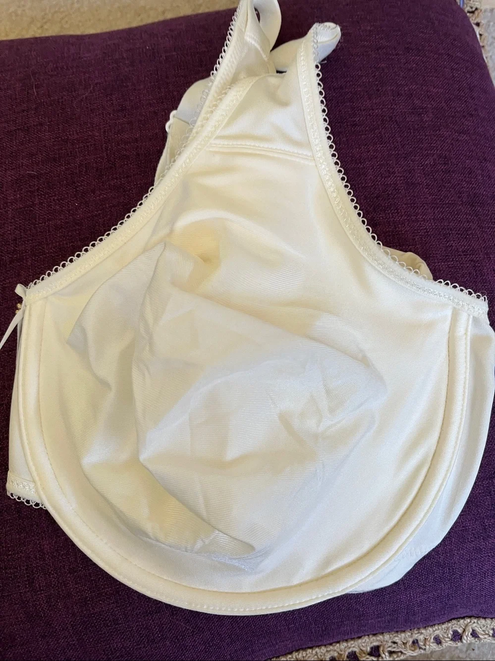 NWOT Wacoal Bodysuede Ultra Full-Figure Bra 851205 36DDD Ivory